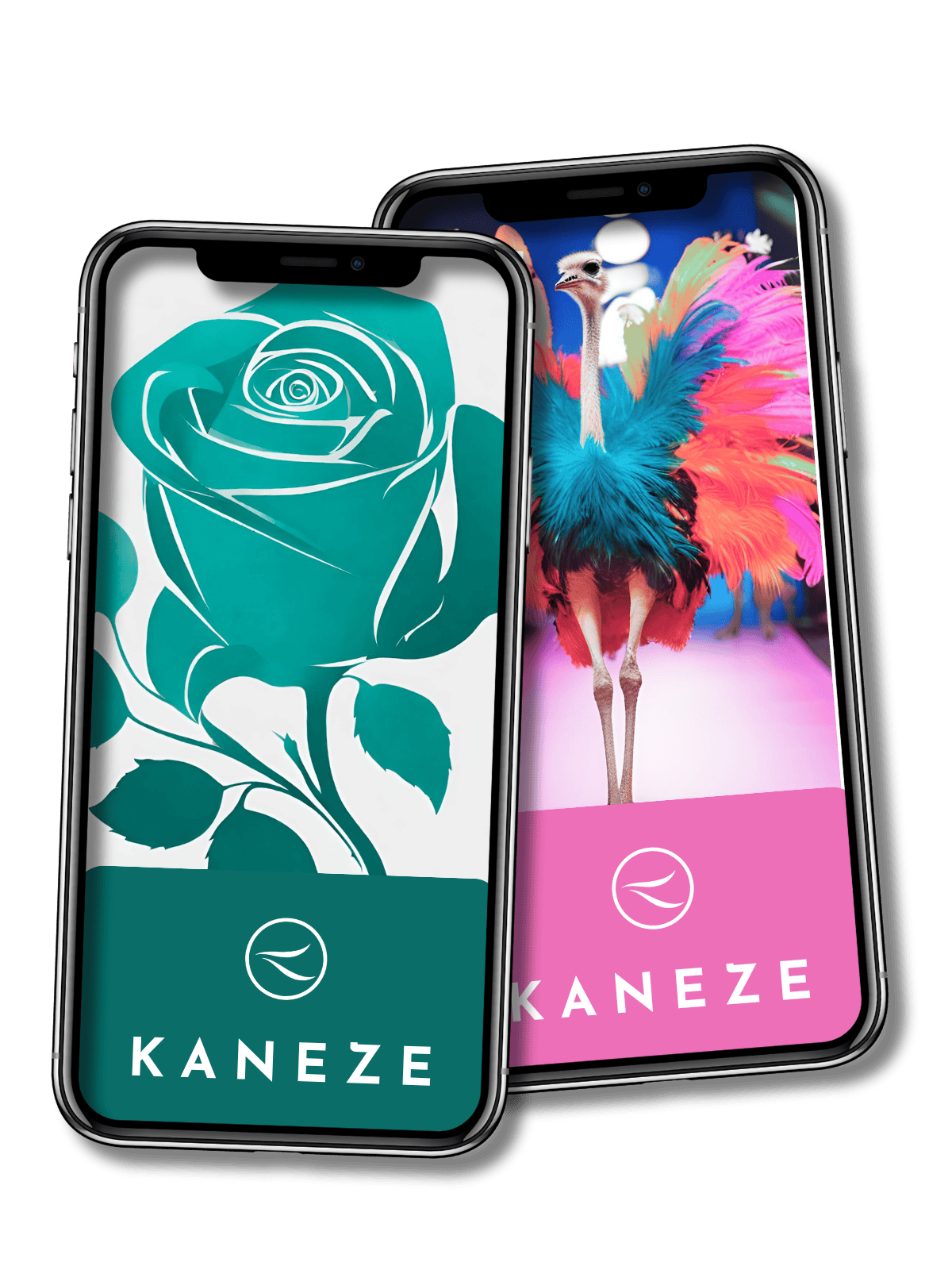 Illustration Kaneze